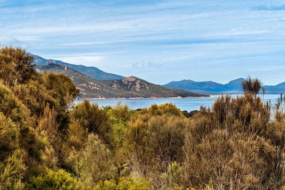 Вілла Freycinet Dream Колс-Бей Екстер'єр фото